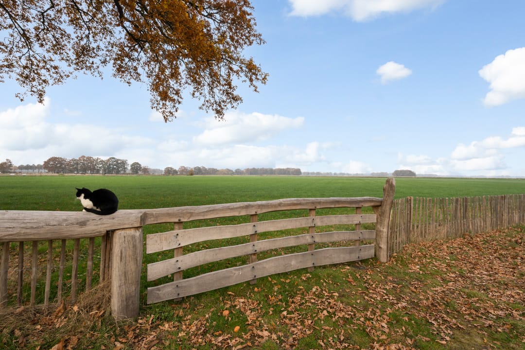 Foto 46 van Dorpsstraat 8