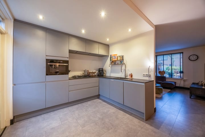 Foto 10 van Aartseveen 42