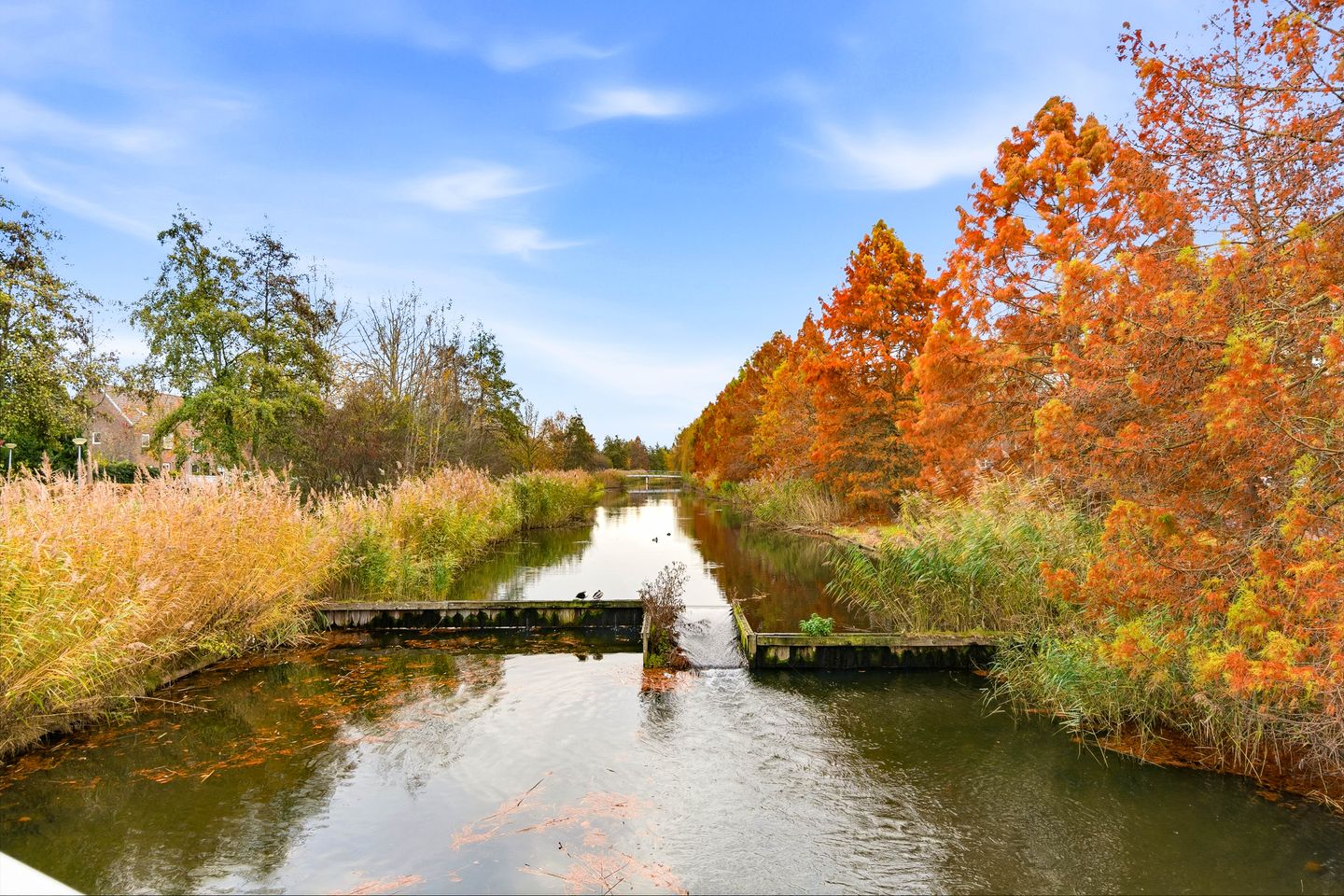 Foto 50 van Kees Verweystraat 43