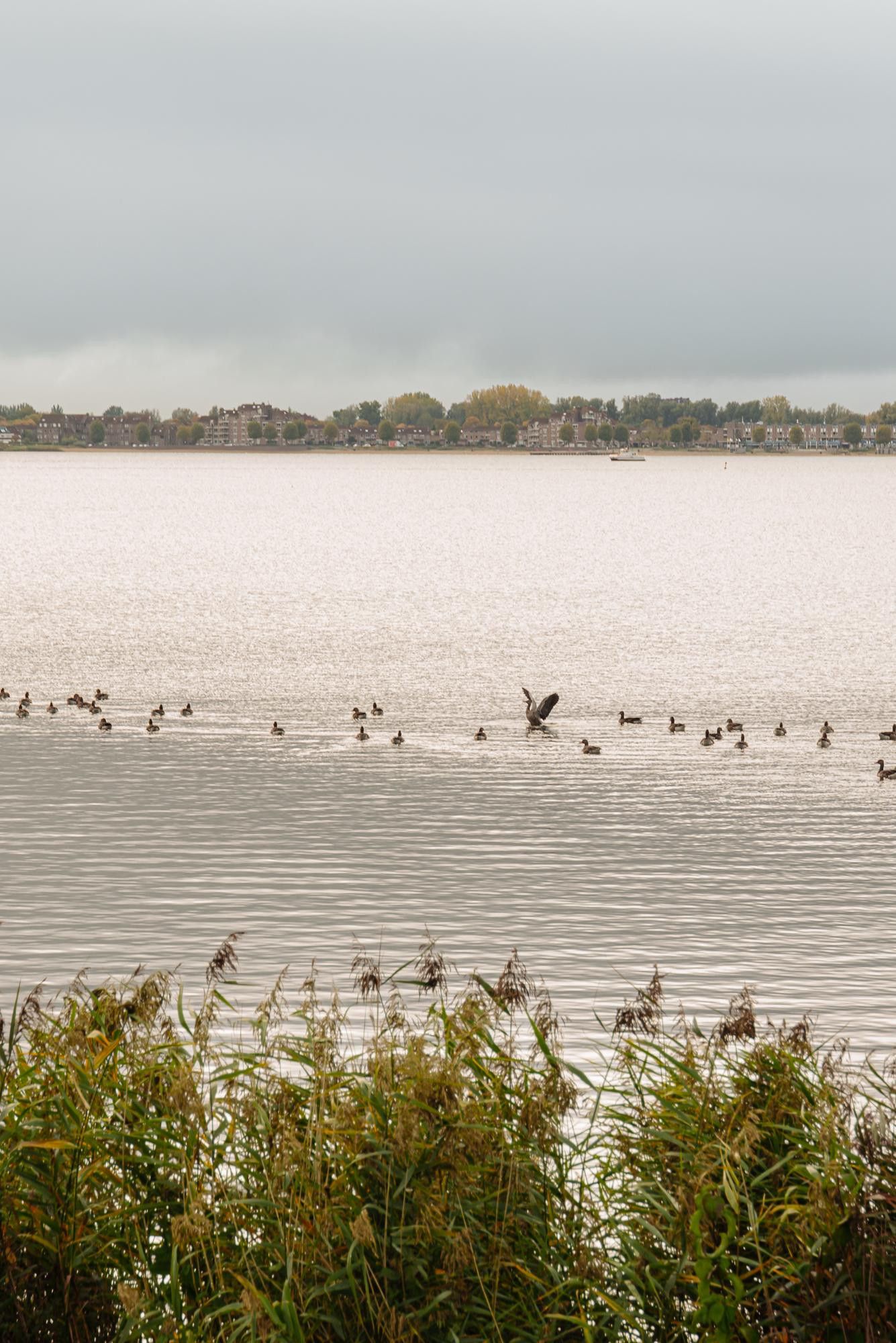 Foto 60 van Ludenbos 23