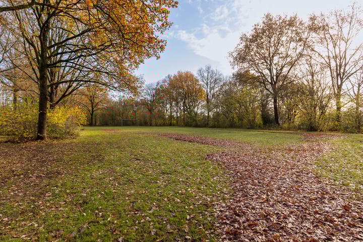 Foto 39 van Lijsterstraat 42