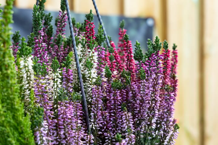 Foto 58 van Postgalei 31