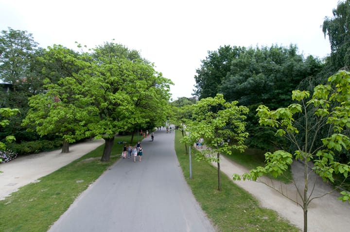 Foto 25 van Pieter Cornelisz. Hooftstraat 39-3