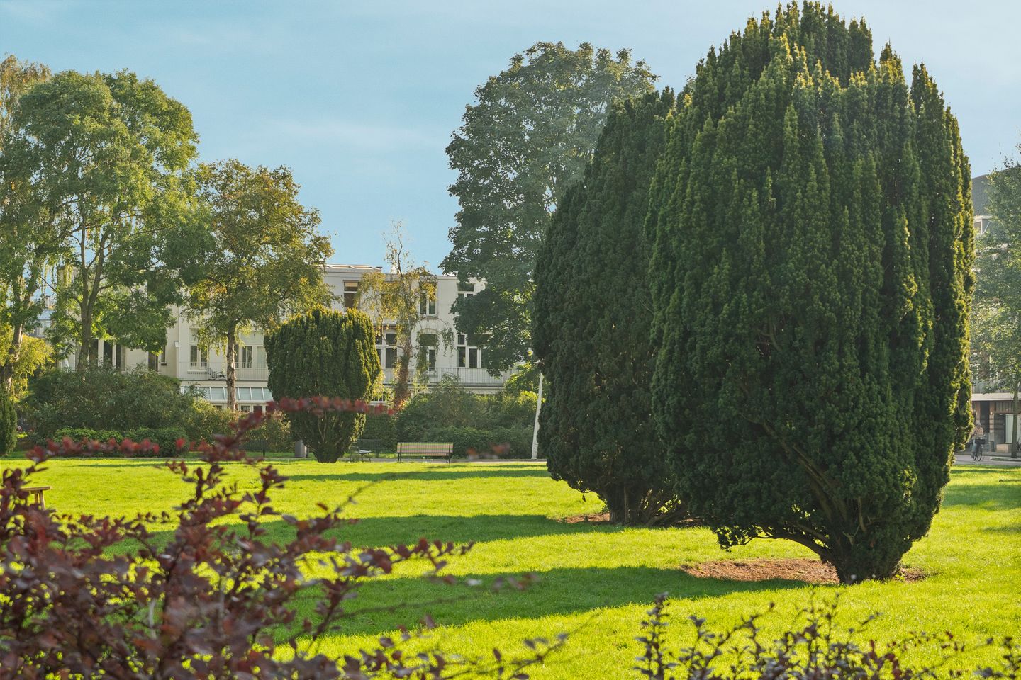 Photo 44 of Haarlemmermeerstraat 58-2