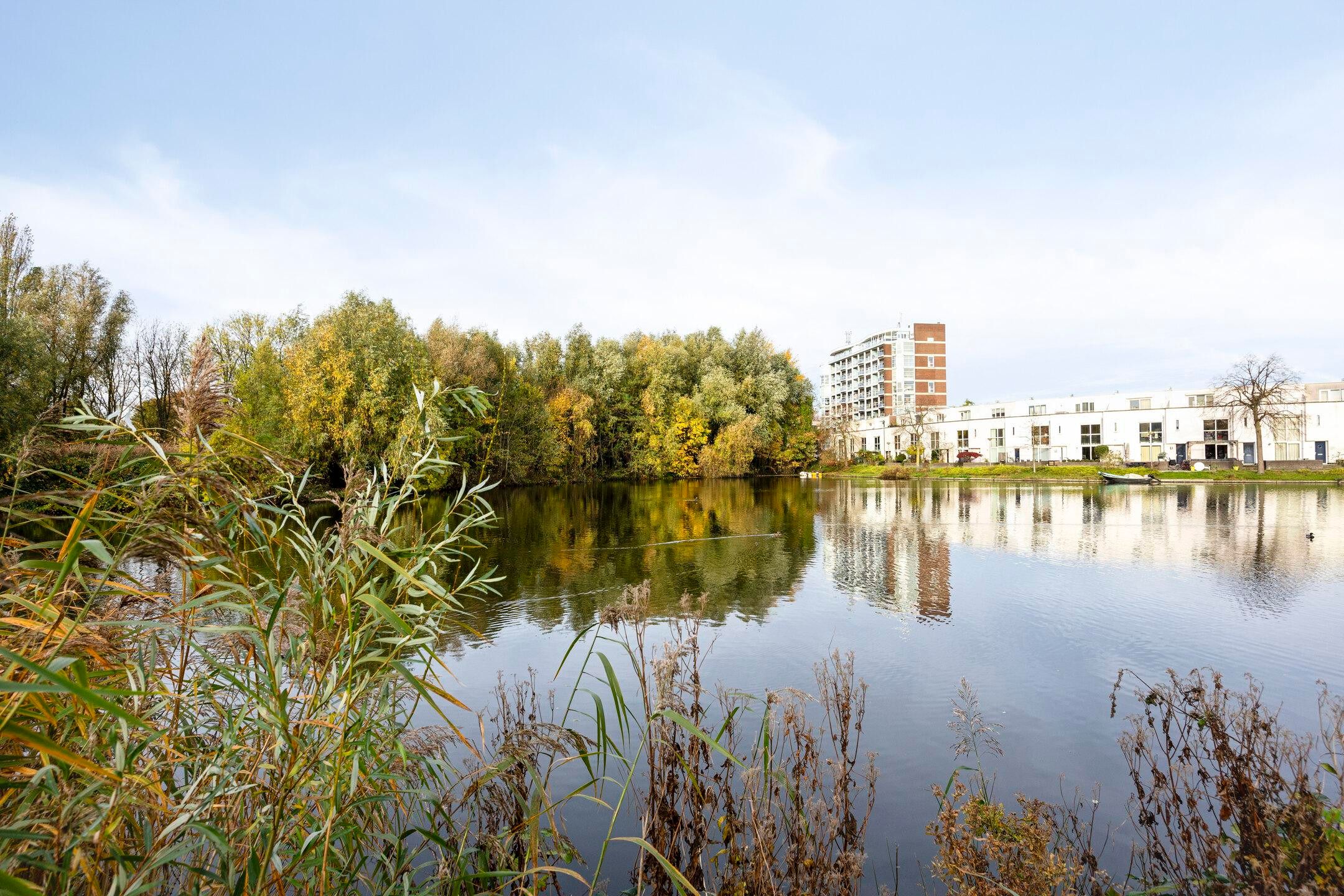 Foto 30 van Rozenburgsestraat 14-A