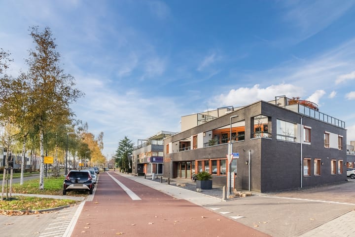 Foto 45 van President Kennedylaan 163