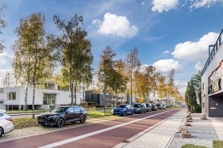 Foto 46 van President Kennedylaan 163