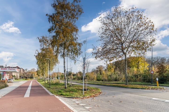 Foto 52 van President Kennedylaan 163