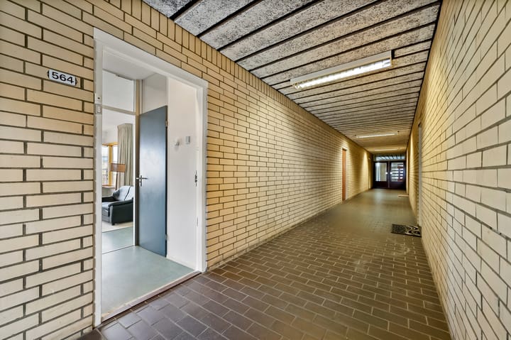 Photo 7 of Burgemeester Patijnlaan 564