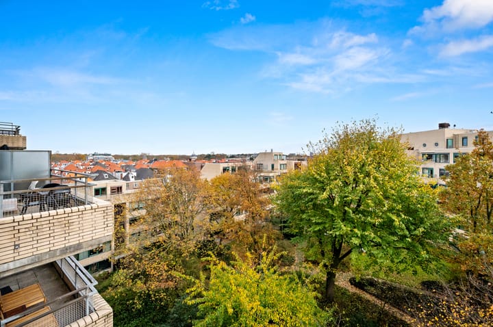 Photo 20 of Burgemeester Patijnlaan 564