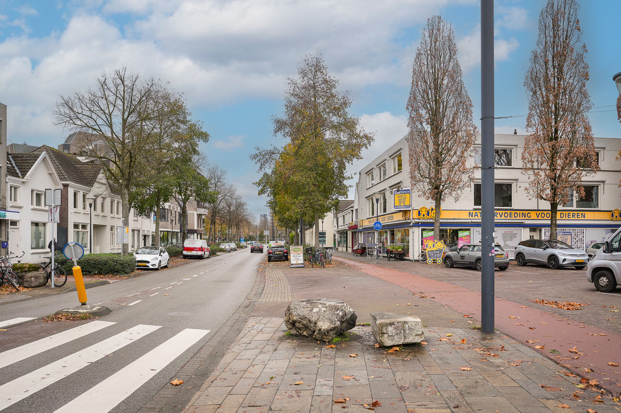 Foto 45 van Biesterweg 3