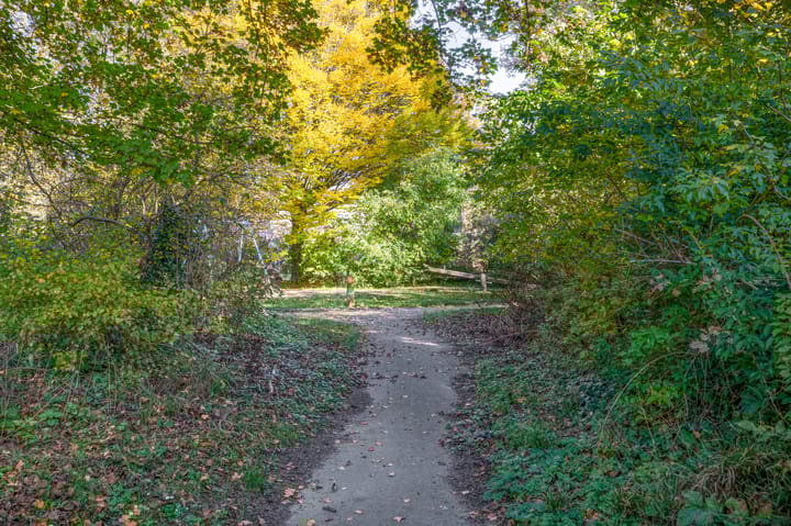 Foto 49 van Koerlingwei 24