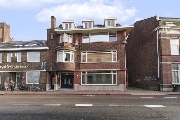 Foto 1 van Wilhelminapark 139-A