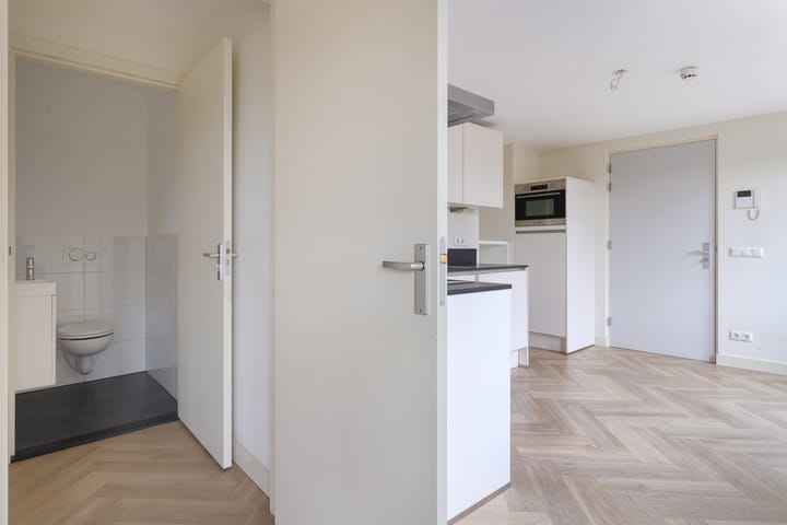 Foto 21 van Wilhelminapark 139-E