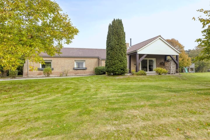 Photo 5 of Zuidwelleweg 3