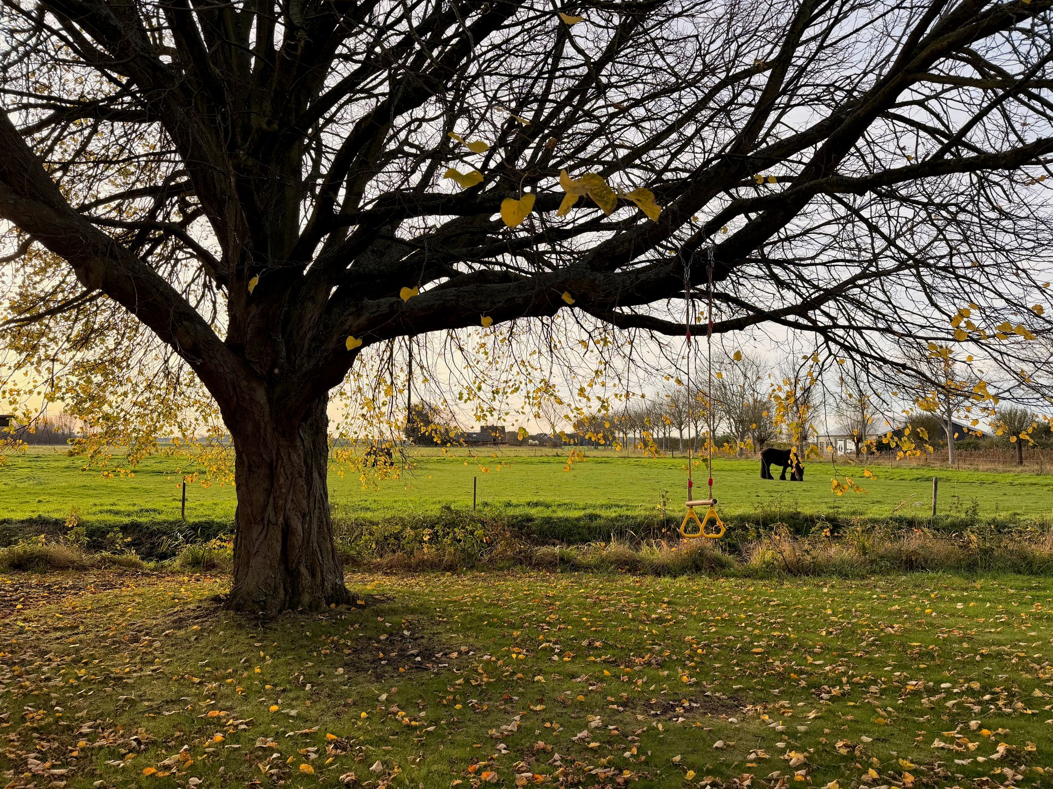 Foto 3 van Zuidwelleweg 3