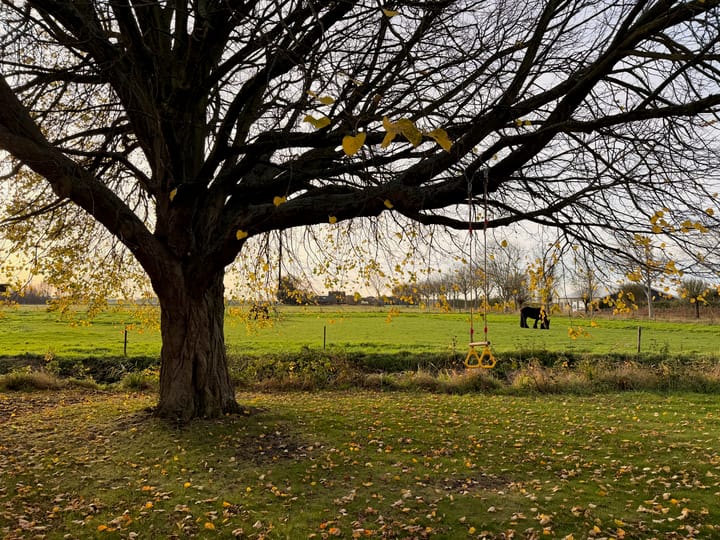 Photo 3 of Zuidwelleweg 3