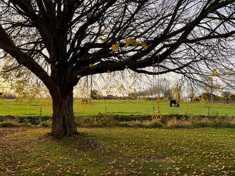 Zuidwelleweg 3 tertiary image