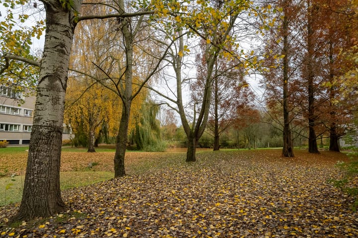 Foto 51 van Heunpark 2113