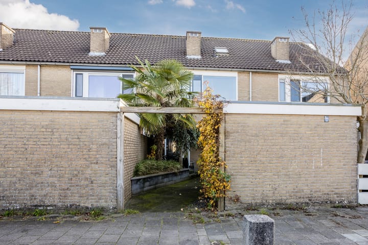 Foto 2 van Witbol 23