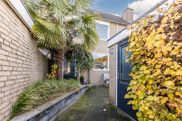 Foto 3 van Witbol 23