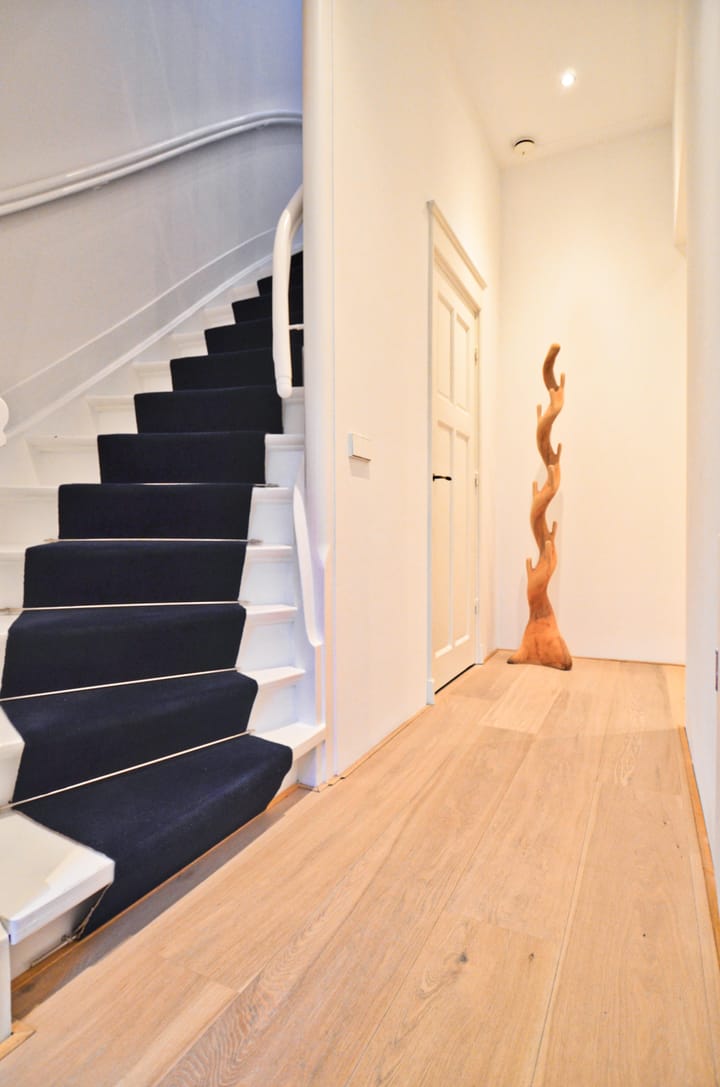 Foto 38 van De Lairessestraat 80-3