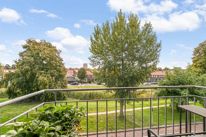 Photo 9 of Lisdoddelaan 10-3