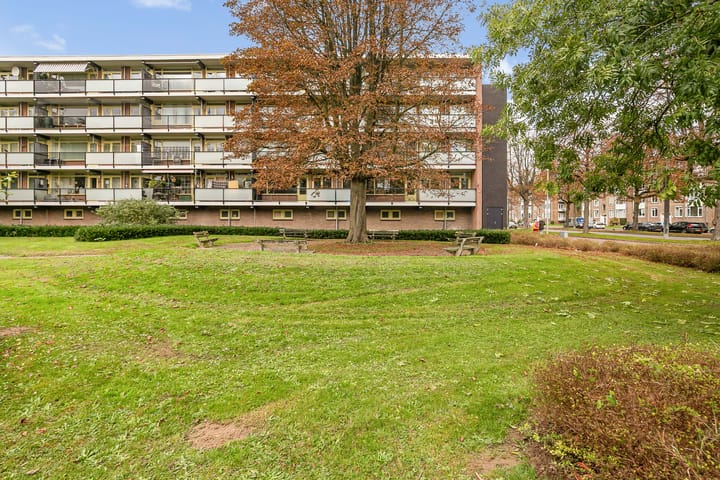 Photo 25 of Lisdoddelaan 10-3