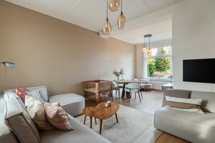 Foto 2 van Trekvaart 109