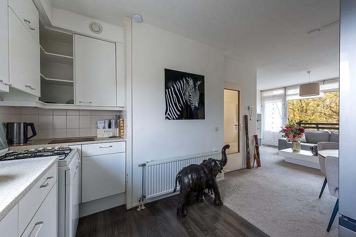 Photo 9 of Vrusschemigerweg 197