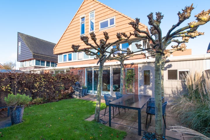 Dorsvlegel 31 main image