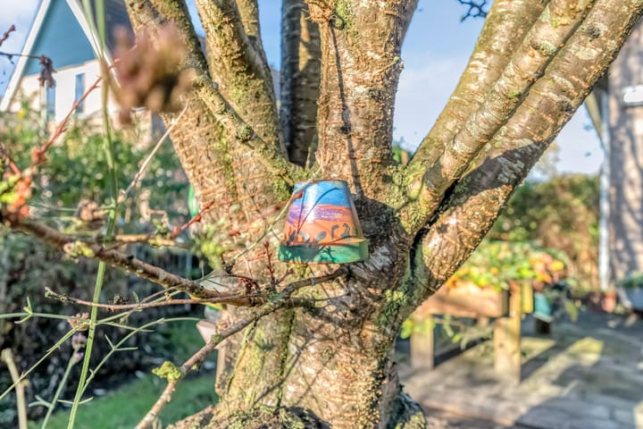 Foto 44 van De Berken 1