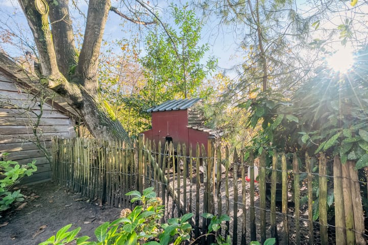 Foto 45 van De Berken 1