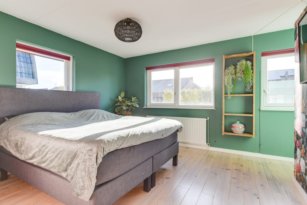 Photo 41 of Dorsvlegel 31