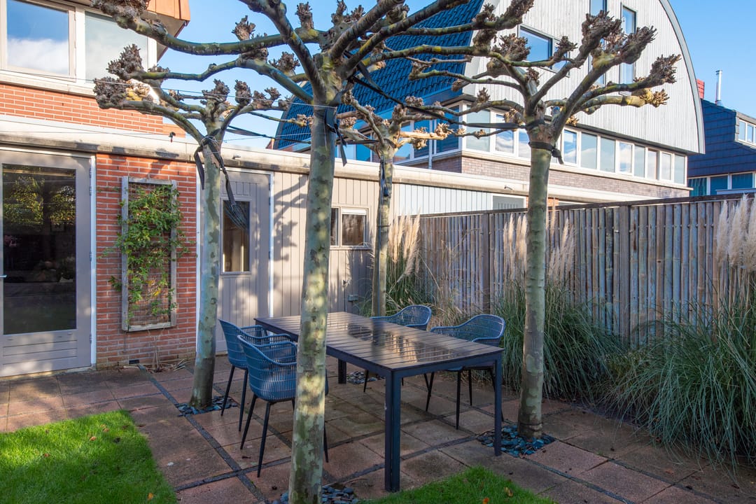 Photo 61 of Dorsvlegel 31