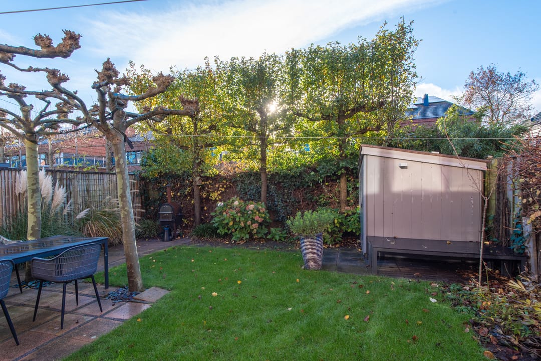 Photo 62 of Dorsvlegel 31