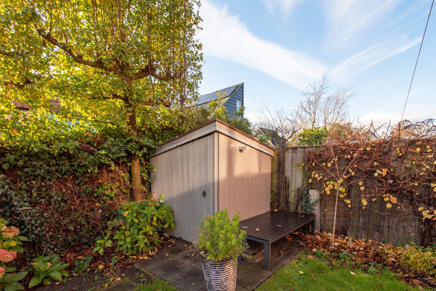 Photo 64 of Dorsvlegel 31