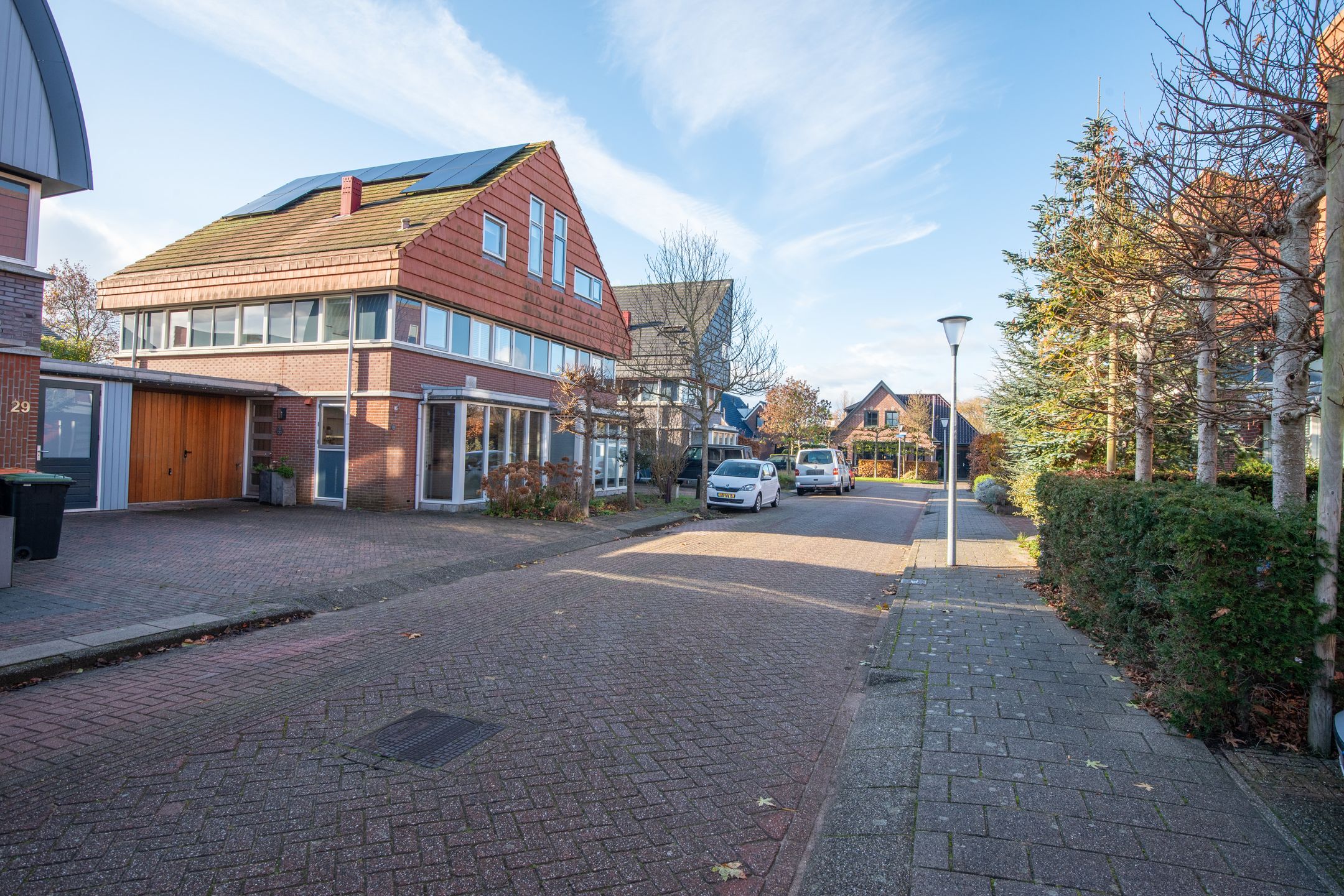 Photo 66 of Dorsvlegel 31