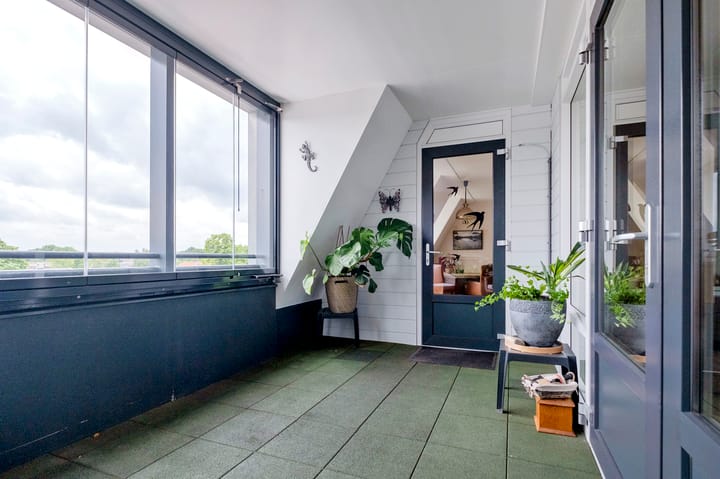 Photo 19 of Brink 32