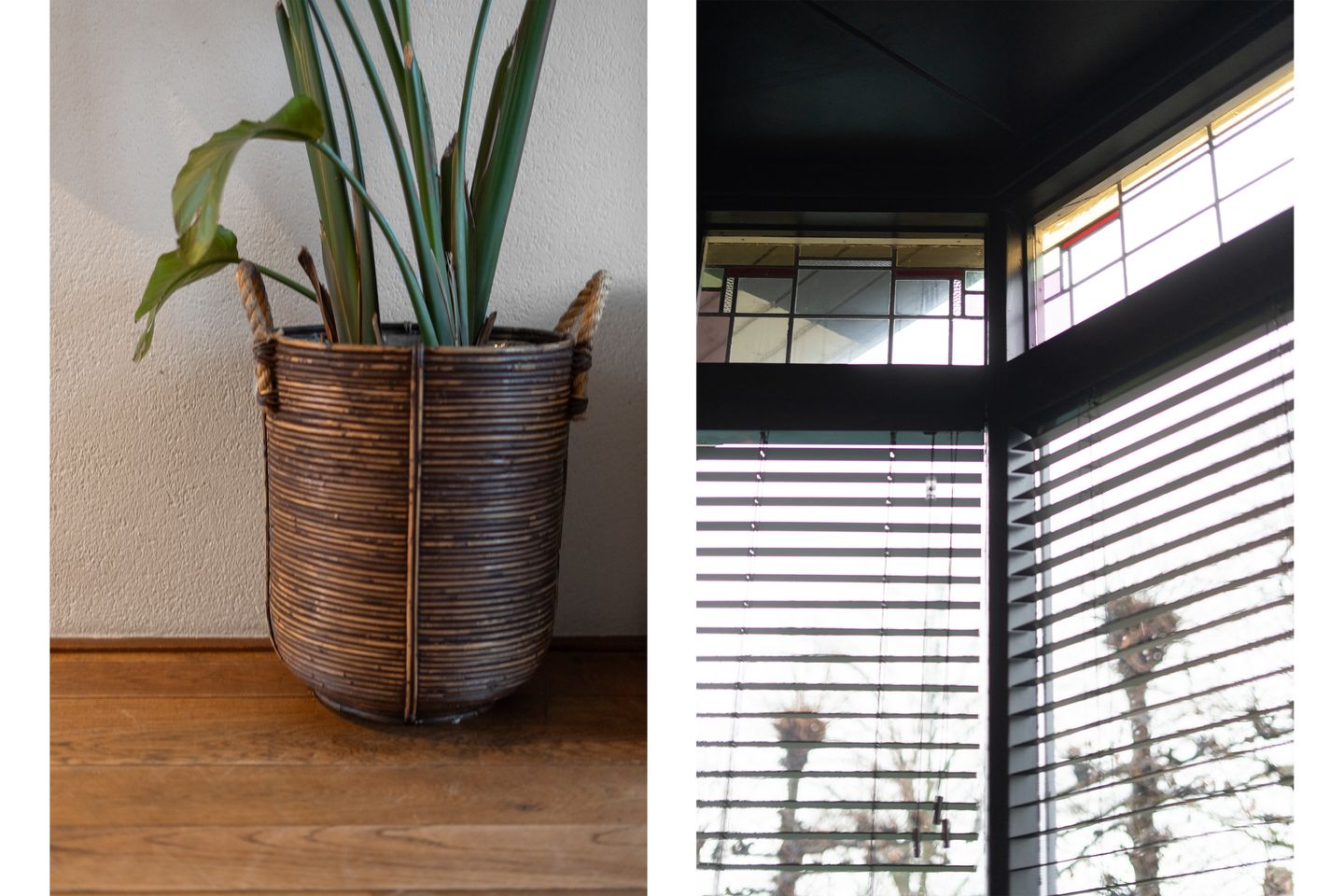 Foto 5 van Waalsmondelaan 24