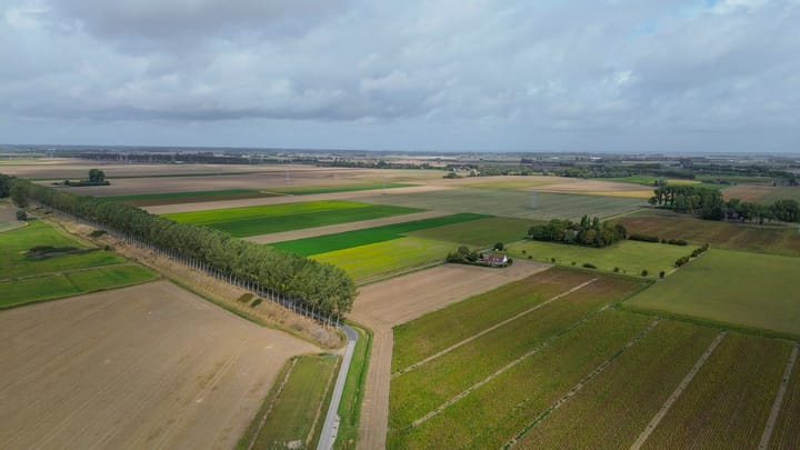 Foto 61 van Vrijedijk 11