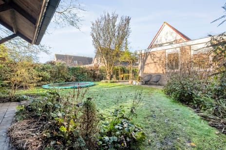 De Berken 1 tertiary image