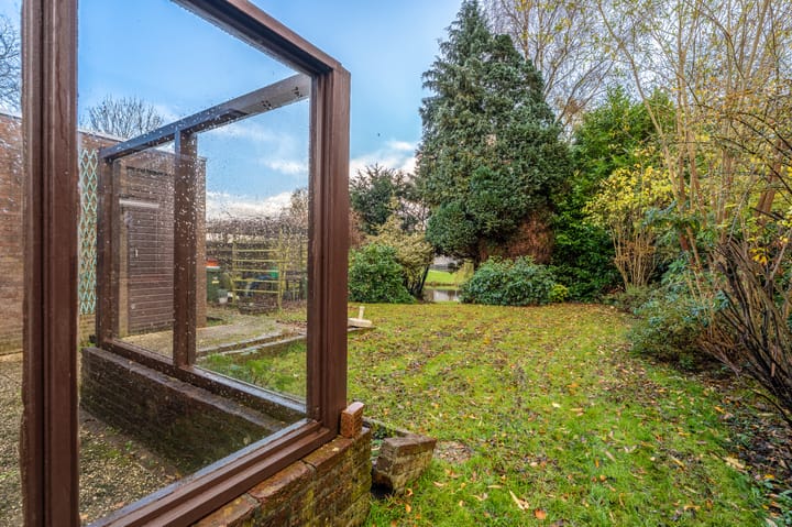 Photo 31 of Tiros 16