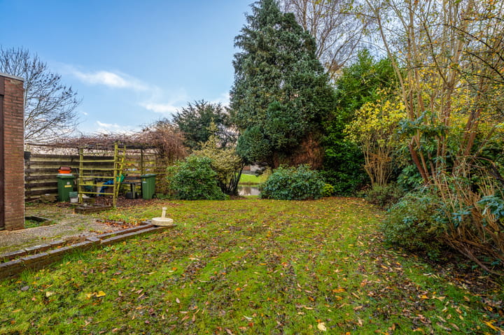 Photo 32 of Tiros 16