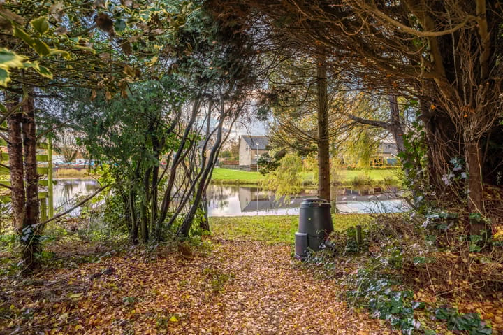 Photo 34 of Tiros 16