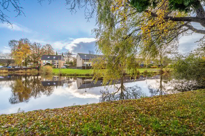 Photo 35 of Tiros 16