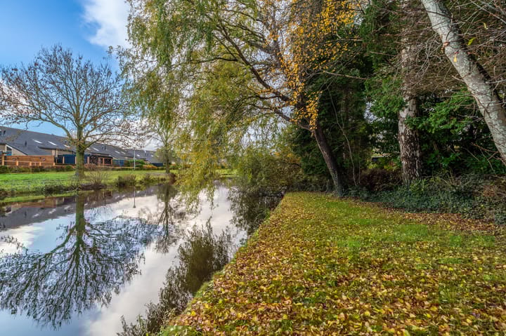 Photo 36 of Tiros 16