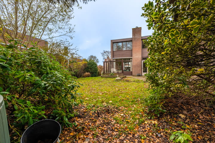 Photo 37 of Tiros 16