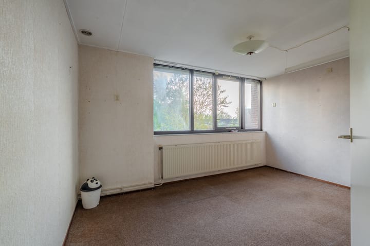 Photo 46 of Tiros 16