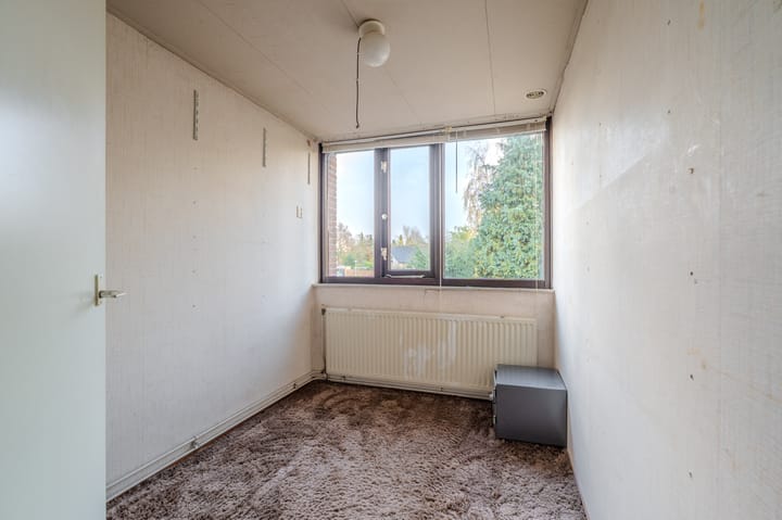 Photo 49 of Tiros 16